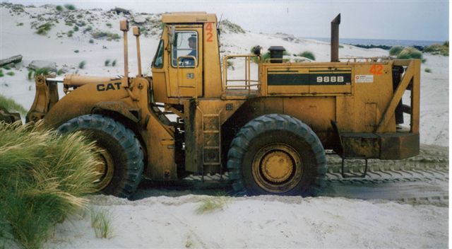 cat 998B.jpg