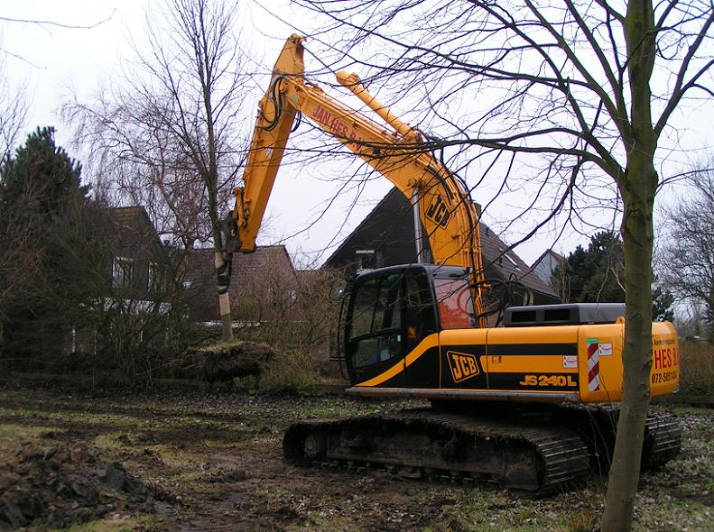 castricum Park Noord-End boomverplantingen 2.JPG