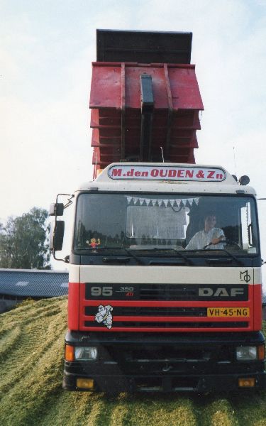 daf mais 3.jpg