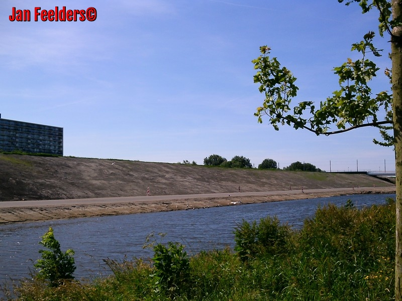 A4 Delft-Schiedam