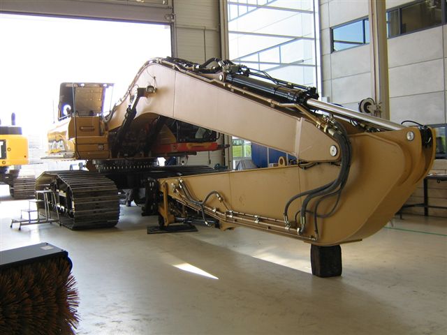 cat 003.jpg