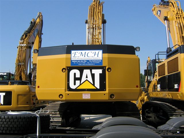 cat 008.jpg