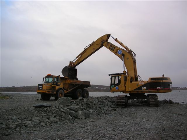 Cat 375.jpg